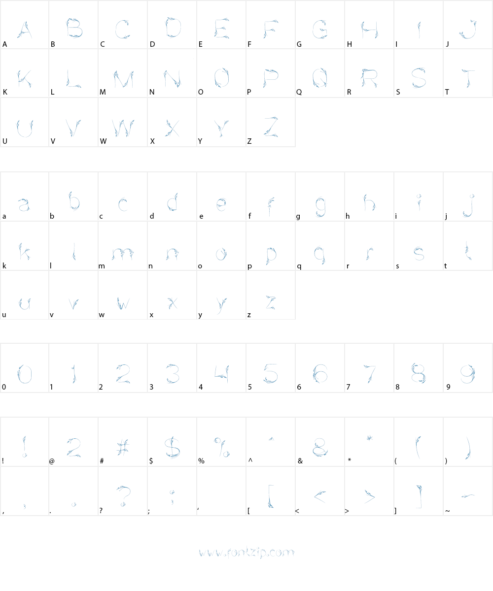 Bird Feather Font Character